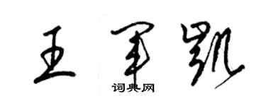 梁錦英王軍凱草書個性簽名怎么寫