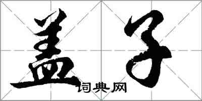 胡問遂蓋子行書怎么寫