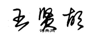 朱錫榮王賢胡草書個性簽名怎么寫