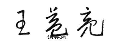 駱恆光王益亮草書個性簽名怎么寫