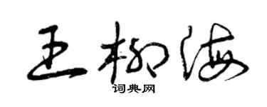曾慶福王柳海草書個性簽名怎么寫