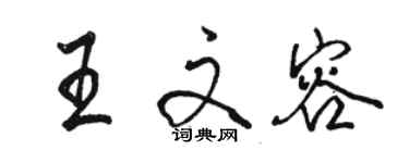 駱恆光王文容行書個性簽名怎么寫