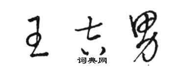 駱恆光王吉男草書個性簽名怎么寫