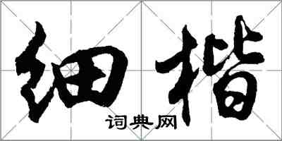 胡問遂細楷行書怎么寫