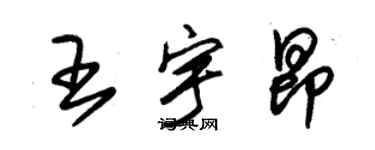 朱錫榮王宇昂草書個性簽名怎么寫