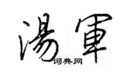 王正良湯軍行書個性簽名怎么寫