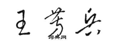 駱恆光王芳兵草書個性簽名怎么寫