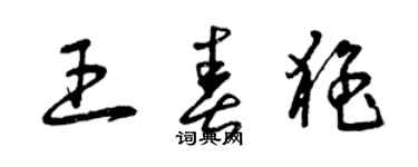 曾慶福王春猛草書個性簽名怎么寫