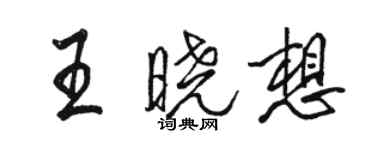 駱恆光王曉想行書個性簽名怎么寫