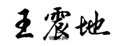 胡問遂王震地行書個性簽名怎么寫