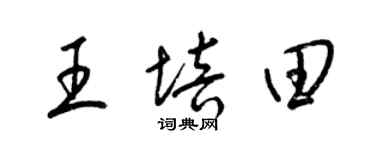 梁錦英王培田草書個性簽名怎么寫