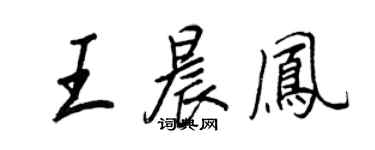 王正良王晨鳳行書個性簽名怎么寫