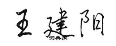 駱恆光王建陽行書個性簽名怎么寫