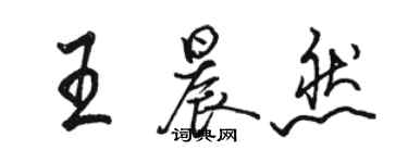 駱恆光王晨然行書個性簽名怎么寫