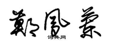 朱錫榮鄭鳳蘭草書個性簽名怎么寫