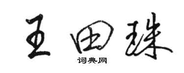 駱恆光王田珠行書個性簽名怎么寫