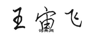 駱恆光王宙飛行書個性簽名怎么寫