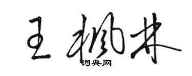 駱恆光王楓林草書個性簽名怎么寫