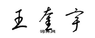 梁錦英王奎宇草書個性簽名怎么寫