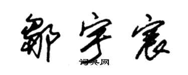 朱錫榮鄒宇宸草書個性簽名怎么寫