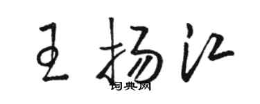 駱恆光王揚江草書個性簽名怎么寫