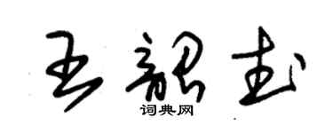 朱錫榮王韶武草書個性簽名怎么寫