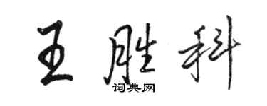 駱恆光王勝科行書個性簽名怎么寫