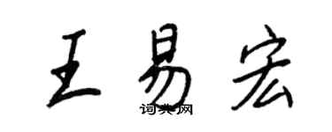 王正良王易宏行書個性簽名怎么寫
