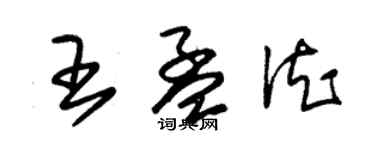 朱錫榮王孟德草書個性簽名怎么寫