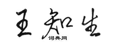 駱恆光王知生行書個性簽名怎么寫