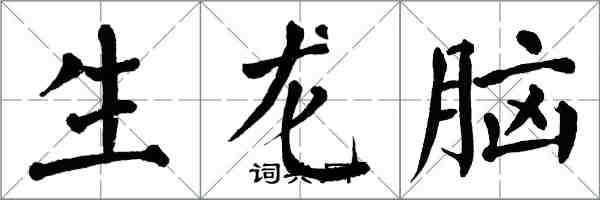 翁闓運生龍腦楷書怎么寫