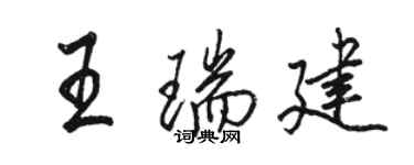 駱恆光王瑞建行書個性簽名怎么寫