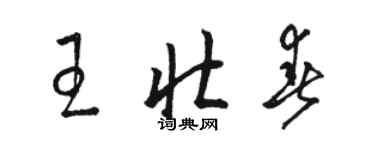 駱恆光王壯春草書個性簽名怎么寫