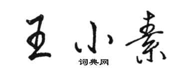 駱恆光王小素行書個性簽名怎么寫