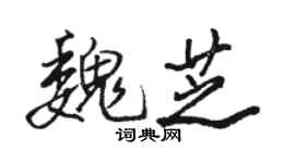 駱恆光魏芝行書個性簽名怎么寫