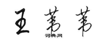 駱恆光王葦葦行書個性簽名怎么寫