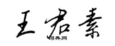 王正良王君素行書個性簽名怎么寫