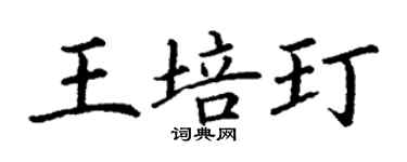 丁謙王培玎楷書個性簽名怎么寫