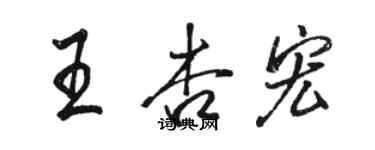 駱恆光王杏宏行書個性簽名怎么寫