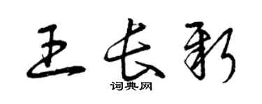 曾慶福王長新草書個性簽名怎么寫