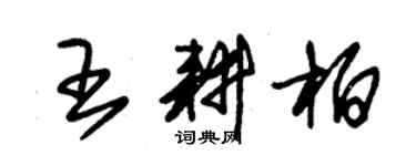 朱錫榮王耕柏草書個性簽名怎么寫