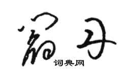 駱恆光閻丹草書個性簽名怎么寫