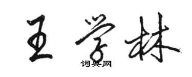 駱恆光王學林行書個性簽名怎么寫