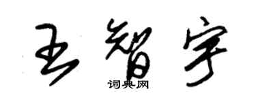 朱錫榮王智宇草書個性簽名怎么寫