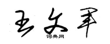朱錫榮王文軍草書個性簽名怎么寫