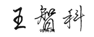 駱恆光王智科行書個性簽名怎么寫