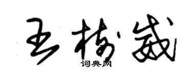 朱錫榮王樹威草書個性簽名怎么寫