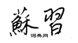 王正良蘇習行書個性簽名怎么寫