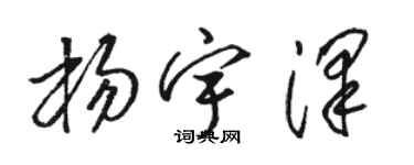 駱恆光楊宇澤草書個性簽名怎么寫
