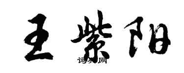 胡問遂王紫陽行書個性簽名怎么寫